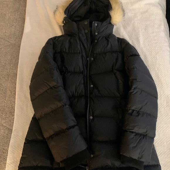 Pajar brand new winter jacket - Picture 1 of 4